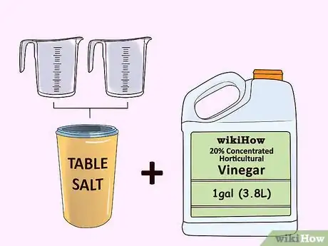 Imagen titulada Kill Weeds With Vinegar Step 9