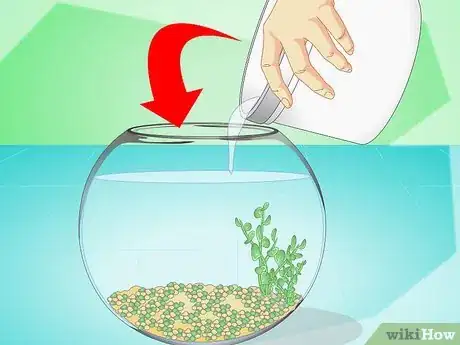 Imagen titulada Change the Water in a Fish Bowl Step 11