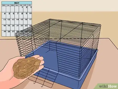 Imagen titulada Clean a Gerbil Cage Step 8