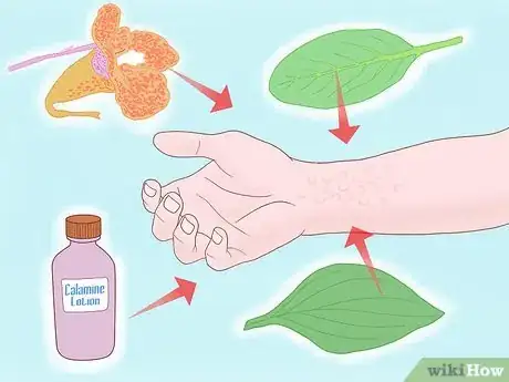 Imagen titulada Touch Nettles Without Stinging Yourself Step 13