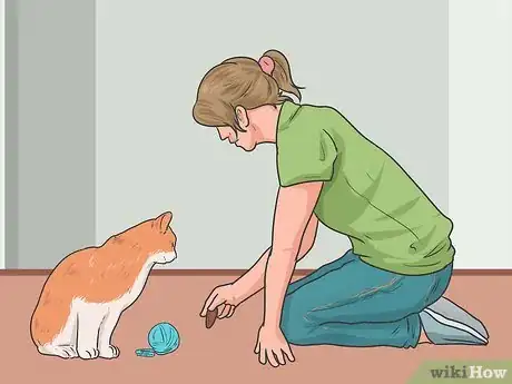 Imagen titulada Play Fetch With Your Cat Step 8