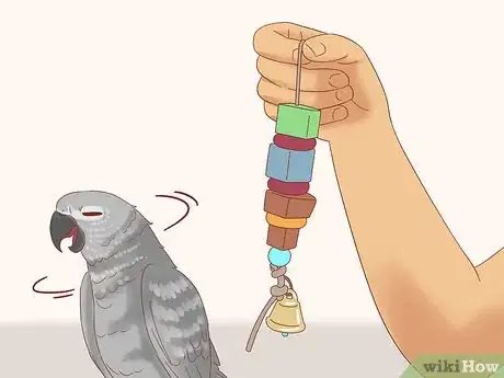 Imagen titulada Treat Feather Picking in African Grey Parrots Step 14