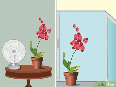 Imagen titulada Care for Orchids Step 5