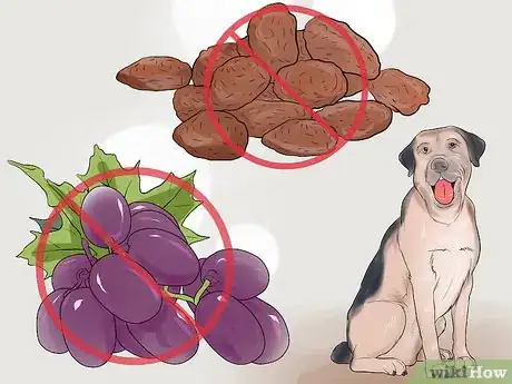 Imagen titulada Avoid Foods Dangerous for Your Dog Step 6