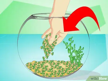 Imagen titulada Change the Water in a Fish Bowl Step 10