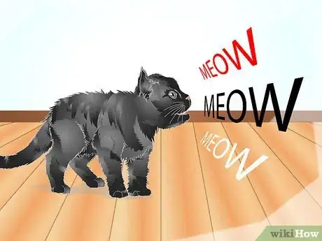 Imagen titulada Teach Your Cat to Talk Step 1