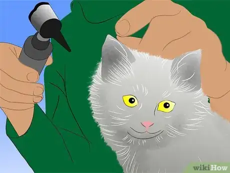 Imagen titulada Care for Physically Abused Cats Step 1