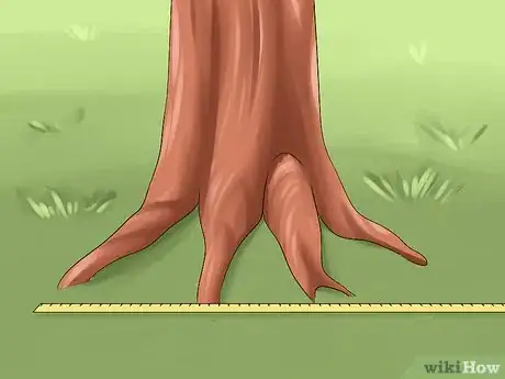 Imagen titulada Measure the Height of a Tree Step 11