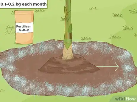 Imagen titulada Grow Banana Plants Step 11