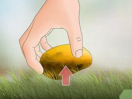 Imagen titulada Avoid Bee or Wasp Stings Step 9