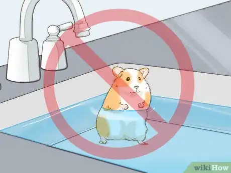 Imagen titulada Give Your Hamster a Bath Step 1