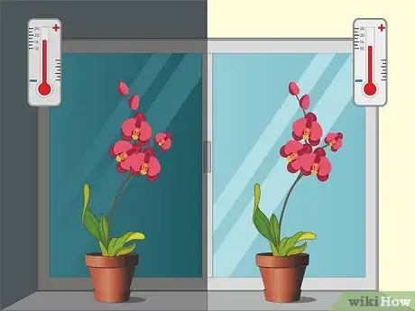 Imagen titulada Care for Orchids Step 4