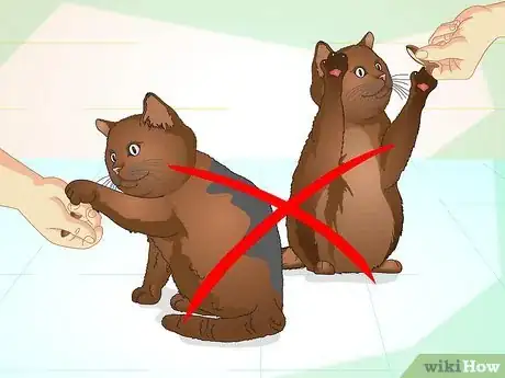 Imagen titulada Teach Your Cat to Do Tricks Step 7