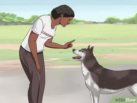 Imagen titulada Teach Your Dog to Speak Step 14