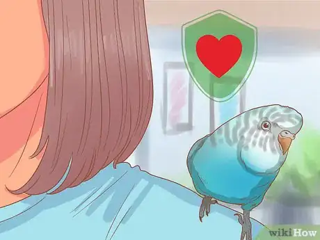 Imagen titulada Teach Your Parakeet to Love You Step 9