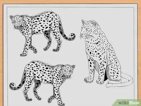 Imagen titulada Draw Leopards Step 10