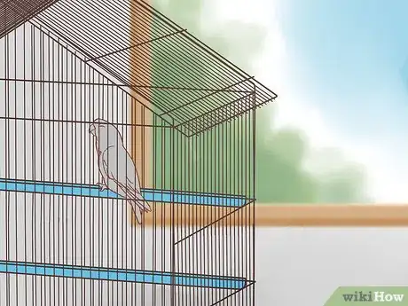 Imagen titulada Treat Feather Picking in African Grey Parrots Step 3