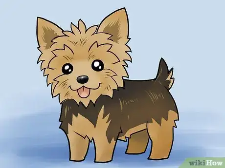 Imagen titulada Draw a Yorkie Step 27