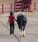 entrenar un caballo de carreras