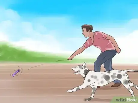 Imagen titulada Teach Your Dog to Herd Step 4