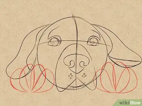 Imagen titulada Draw a Dog Face Step 5