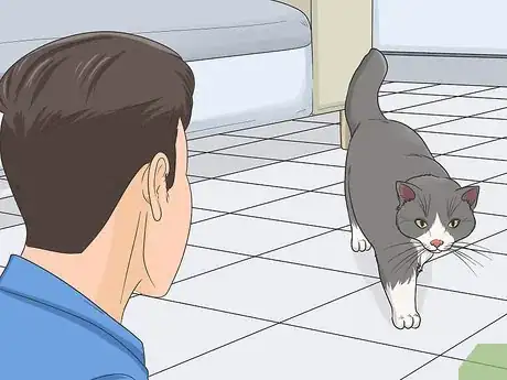 Imagen titulada Gain a Cat's Trust Step 1