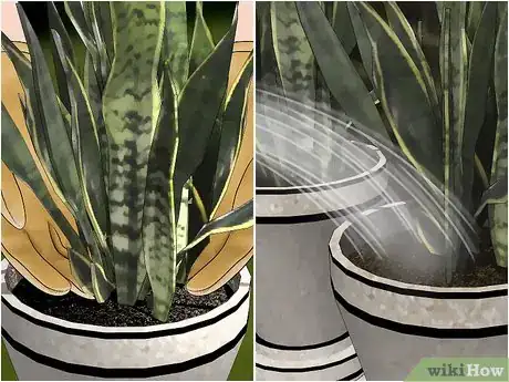 Imagen titulada Remove Ants from Potted Plants Step 12