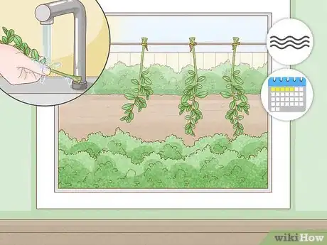 Imagen titulada Preserve Boxwood Cuttings Step 10