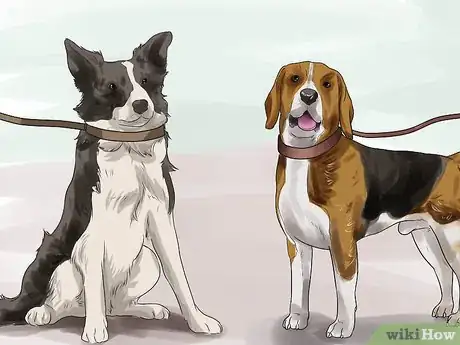 Imagen titulada Get Your Two Dogs to Stop Fighting Step 4