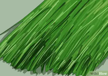 Imagen titulada Juice Wheatgrass Step 20