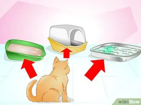 Imagen titulada Keep Cats from Urinating in House Plants Step 11