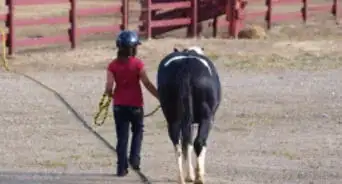 entrenar un caballo de carreras