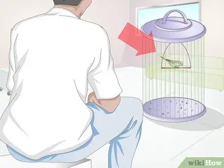 Imagen titulada Get Rid of Mites on Budgies Step 1