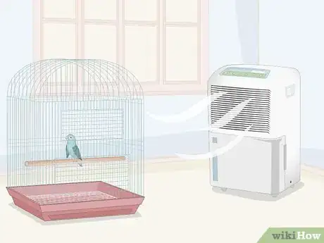 Imagen titulada Care for a Sick Pet Bird at Home Step 3