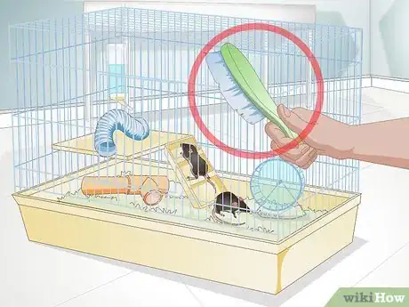 Imagen titulada Clean a Rat's Cage Step 1