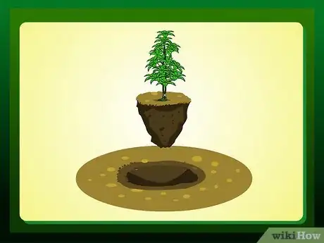 Imagen titulada Replant a Tree Step 7