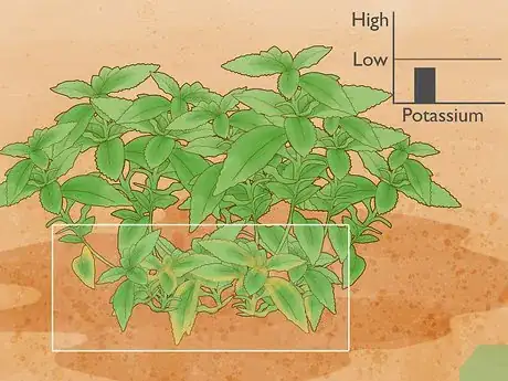 Imagen titulada Use Potash Step 1