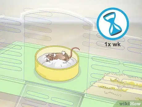 Imagen titulada Give a Gerbil a Sand Bath Step 5