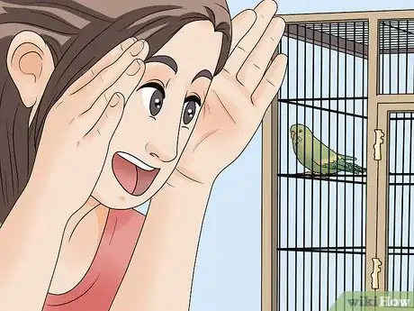 Imagen titulada Amuse Your Parakeet or Other Bird Step 6