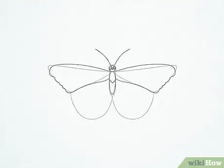 Imagen titulada Draw a Butterfly Step 20