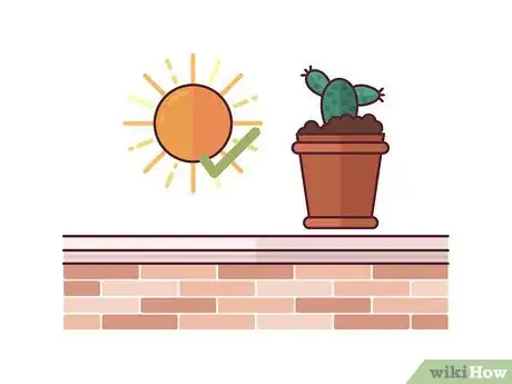 Imagen titulada Grow Cactus Indoors Step 16