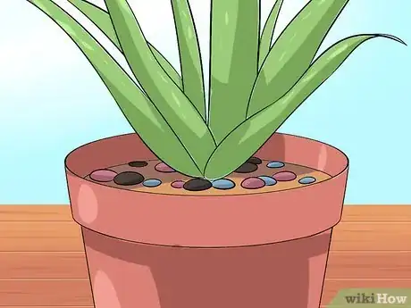 Imagen titulada Care for Your Aloe Vera Plant Step 8