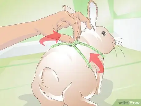 Imagen titulada Make Your Rabbit a Leash Step 5