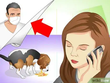 Imagen titulada Cure a Dog's Stomach Ache Step 7