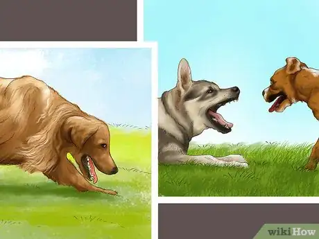 Imagen titulada Make Your Dog Get Along With Other Dogs Step 9