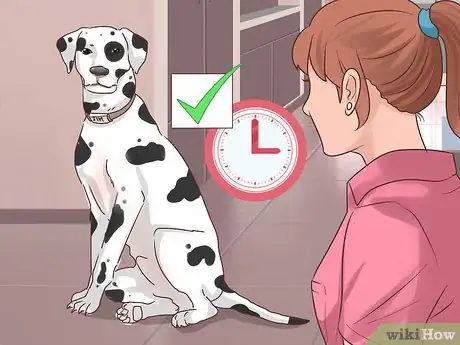 Imagen titulada Make an Outdoor Dog an Indoor Dog As It Ages Step 4