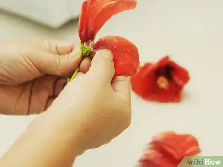 Imagen titulada Make Shampoo With Hibiscus Flowers and Leaves Step 3