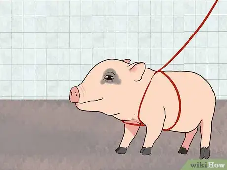 Imagen titulada House Train a Pig Step 8