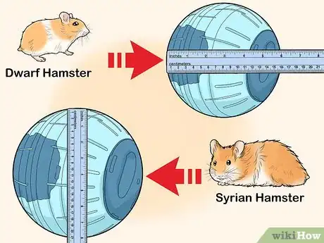 Imagen titulada Let Your Hamster Run in a Hamster Ball Step 5