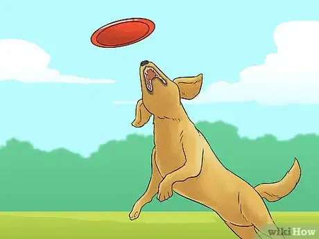 Imagen titulada Make a Routine for Your Dog Step 8